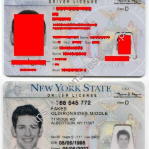New York Driver License(NY O21 V3)