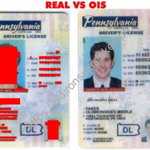 Pennsylvania Driver License(New PA U21)