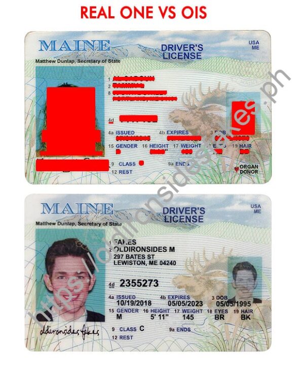 Maine Driver License (Old ME) - OldIronsidesFakes PH