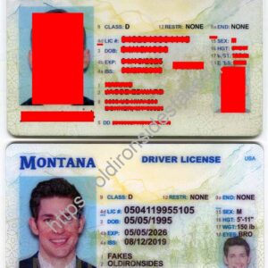 Montana Driver License (MT)