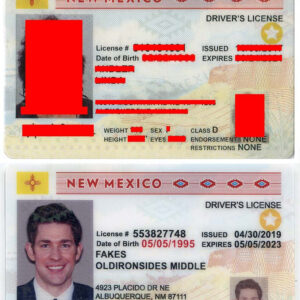 New Mexico Driver License (NM)